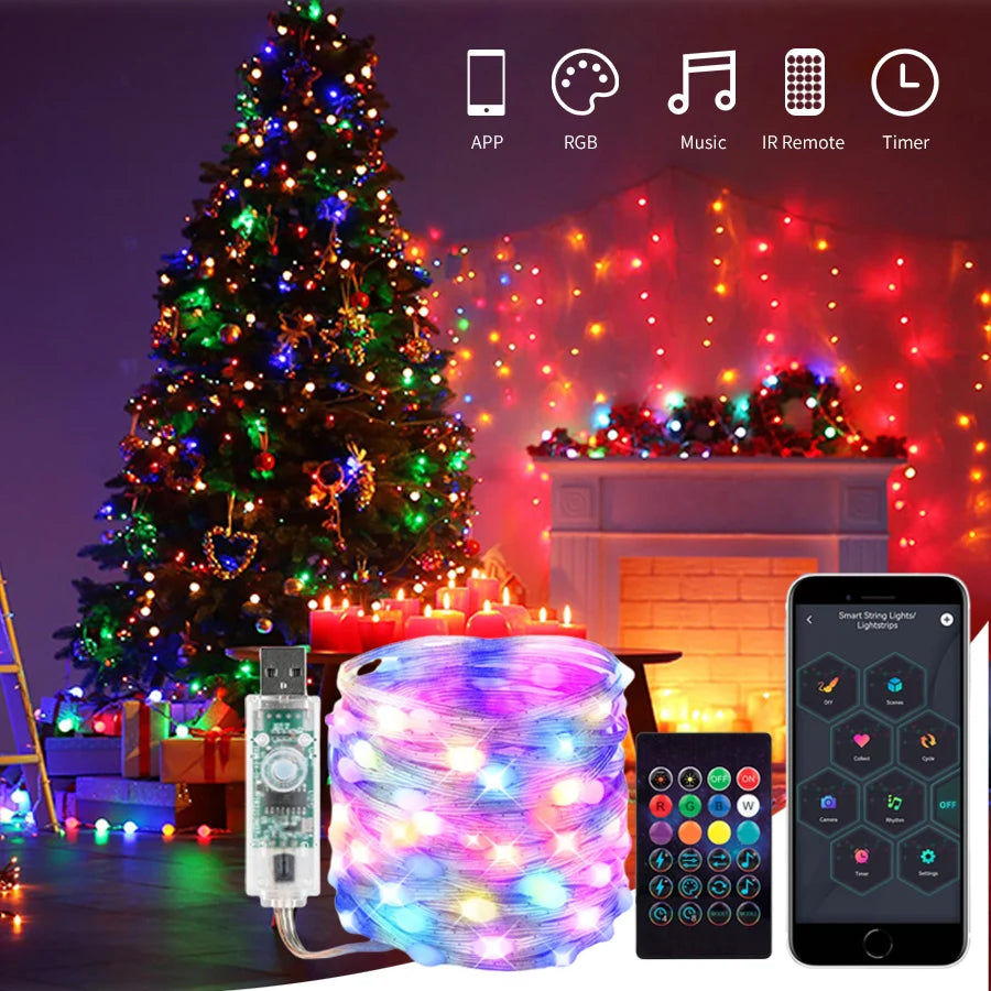 Smart RGB Fairy String Lights USB Twinkle Lights App Control Music Sync Bedroom